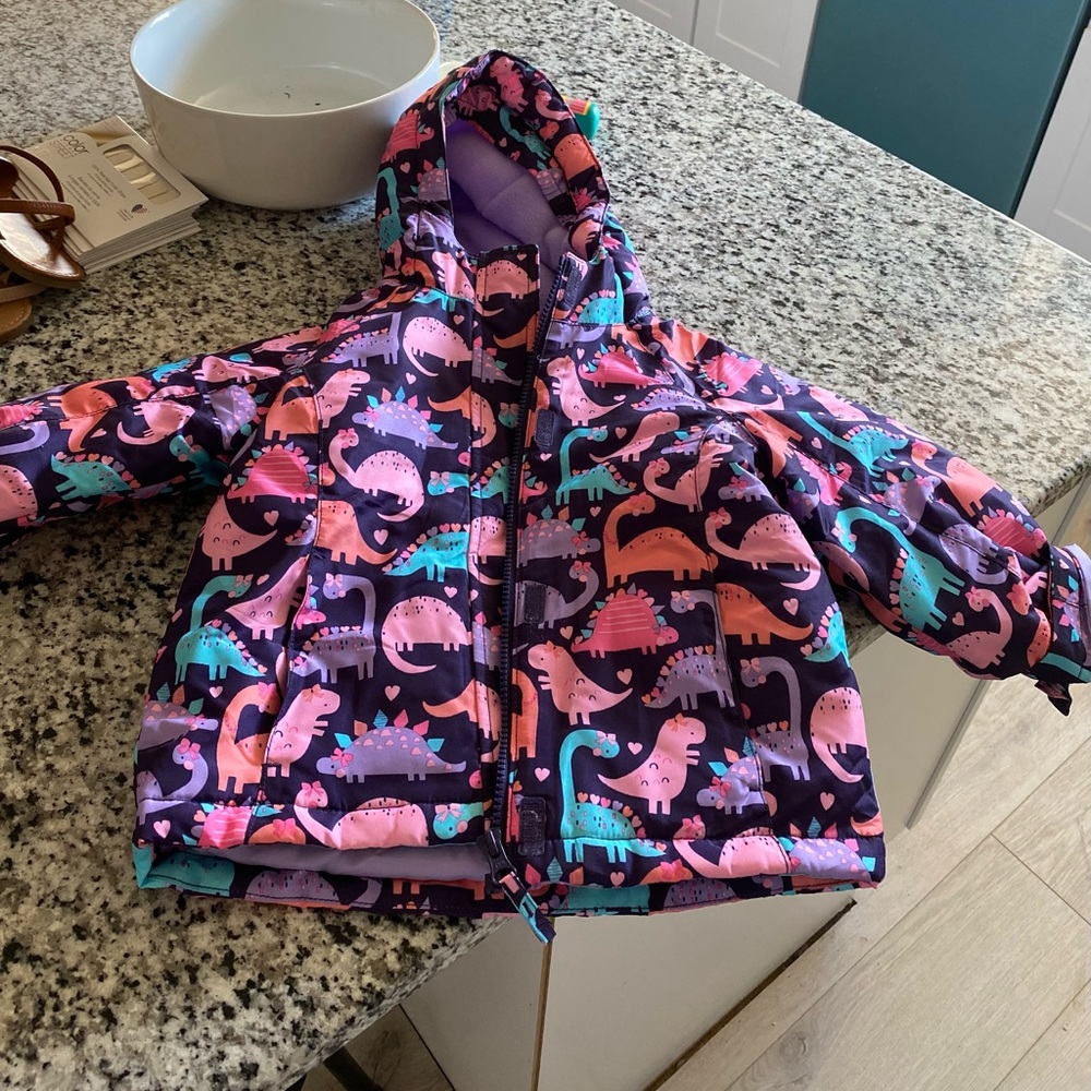 The Children’s Place winter coat size 4t